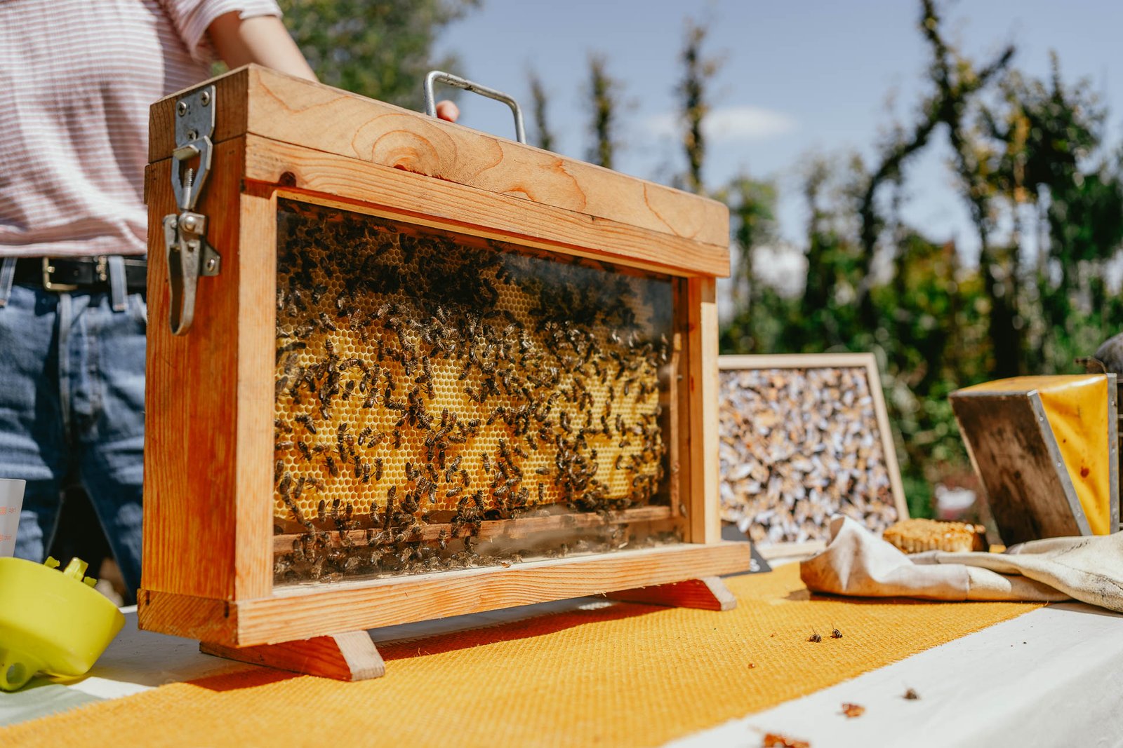 Ambiance paysage - Allison Micallef Photographe (2)